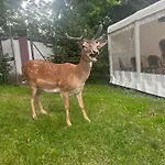 Dworek Biesiadny Nocleg ze śniadaniem