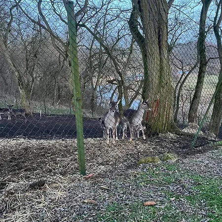 Dworek Biesiadny Frühstückspension 3*