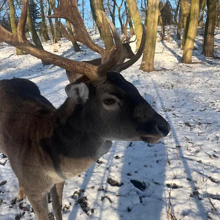 Dworek Biesiadny Bed & Breakfast Radzewice