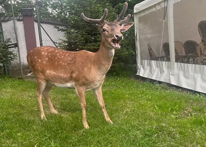 Dworek Biesiadny Nocleg ze śniadaniem
